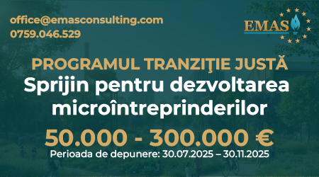 Sprijin pentru dezvoltarea microîntreprinderilor (PTJ)